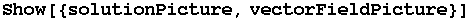 Show[{solutionPicture, vectorFieldPicture}]